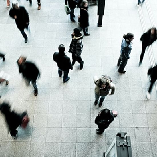 Développement de réseaux de franchise